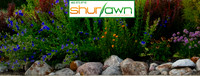 facebook timeline image -0389
