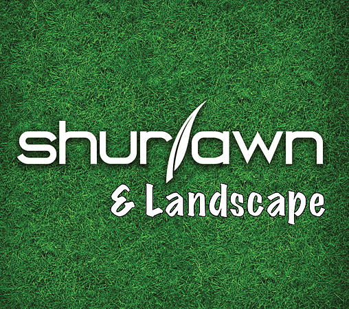 Logo4