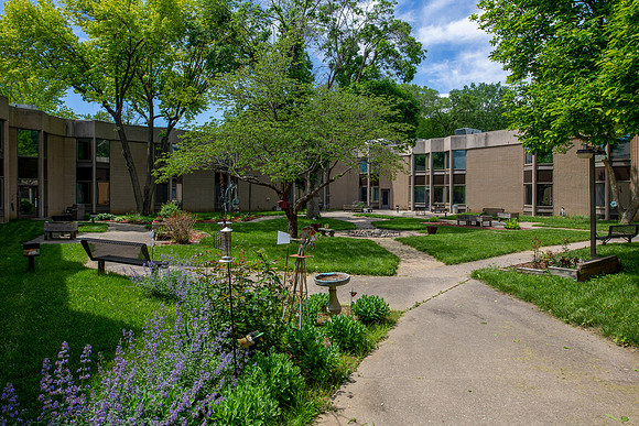 IMG-10