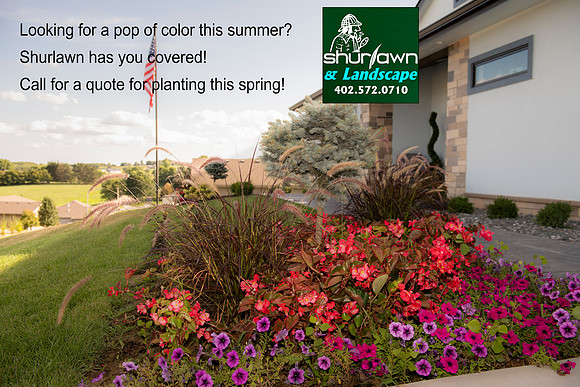 Spring-0155