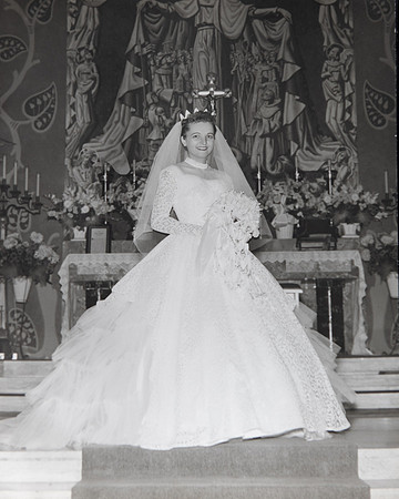 IMG-353